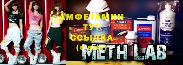 гидра Алексеевка