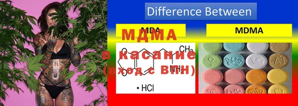 гидра Алексеевка
